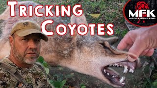 Sounds To Trigger Coyotes When Others Wont! MFK Coyote Hunting