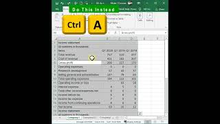 Delete Values But Not Formulas & Text in Excel