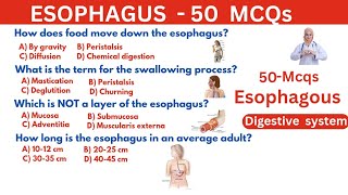 30 Mcqs on Esophagus | esophagus question and answers | Human Digestive  System mcqs #esophagus​