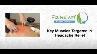 Key Muscles targeting Headache Relief