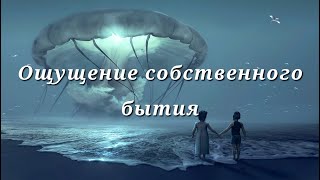 Ощущение собственного бытия Nikosho