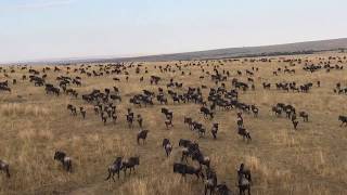 Amazing Africa!! View from Hot Air Baloon in Masai Mara, Kenya