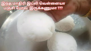 White and Soft Idli Recipe|Soft And Spongy idli Recipe|Homemade idli Batter| இட்லி மாவு |ammaponnu