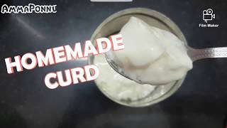 Homemade Curd Recipe | Tips to make thick curd