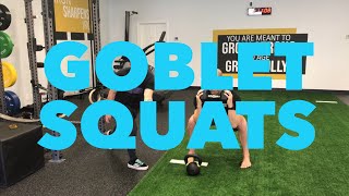 Goblet Squats