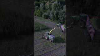 Efficient Corn Silage 🌽 Production Techniques with John Deere