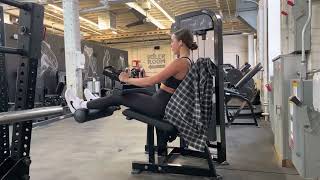 Seated Leg Curl