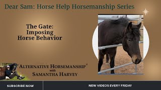 The Gate- Imposing Horse Behavior   Dear Sam: Horse Help