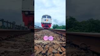 Pink balloons #train #railway #shortvideo #experiment