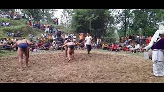 kushti dangal live today 2024 //kushti dangal live /latest kushti #kushti #trending #viral