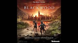 6. Death in the Shallows - ESO:Blackwood Soundtrack