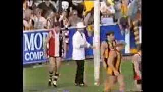 St. Kilda v Hawthorn at Moorabbin 1992. Thrilling last quarter!