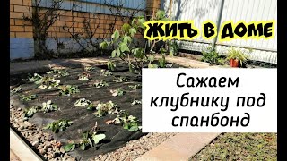 САЖАЕМ КЛУБНИКУ ПОД СПАНБОНД/ ЖИТЬ В ДОМЕ/ КРАСНОДАР