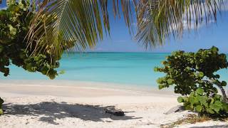 Enjoy Caribbean Perfection at Valley Church Beach on the beautiful island of Antigua