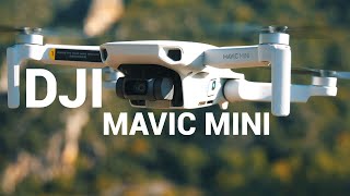 Présentation du DJI Mavic Mini - La Caméra Embarquée