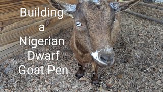 Building A Nigerian Dwarf Goat Pen from a Repurposed Horse Stall