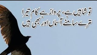 ستاروں سے آگے جہاں اور بھی ہیں || علامہ اقبال کی مشہور غزل || بال جبریل || by Abidofficial channel||