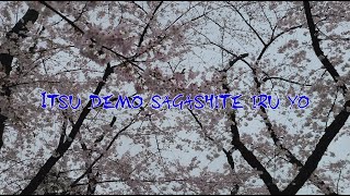 Трейлер короткометражного фильма "Itsu demo sagashite iru yo"