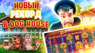 Мега Занос в Dog House Megaways на Стриме Данлудана в Казино Онлайн | Дог Хаус Мегавэйс