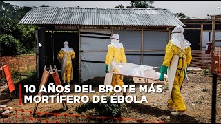 10 años del brote más mortífero de Ébola: ¿qué cambió?