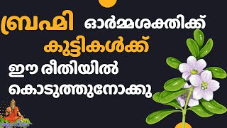 കുട്ടികളുടെ ബുദ്ധി വികാസത്തിന് #kids #brahmi #ബ്രഹ്മി #homeremedies #ottamooli #angaadikada #food