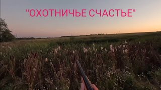 ОСЕННЯЯ ОХОТА НА УТКУ  / ОХОТА НА ВЕЧЕРНЕЙ ЗОРЬКЕ