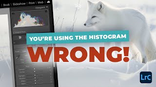 Why You're Using the Histogram Wrong