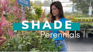 Perennials for your Shaded Garden