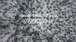 Simcoe County Forest | Winter | Find Your Forest 100 Years