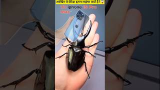 आखिर ये कीडा इतना महंगा क्यों है?😱| Most Expensive Beetle | Stag Beetle  #shorts #facts #viralvideo