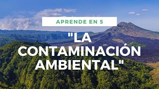 CONTAMINACION AMBIENTAL