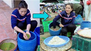 The process of processing beans into bean sprouts and bringing them to the market