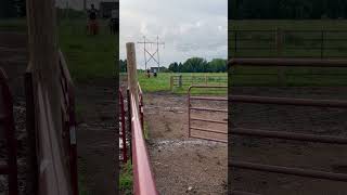 Riding my neighbors cow horse( I have the black helmet on)