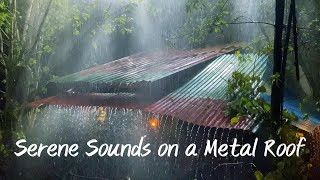 2 Hours of Rain Sounds on Metal Roof I Serene Symphony for Relaxation & Sleep