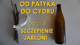 Szczepienie jabłoni przez stosowanie z nóżką - Od patyka do cydru odc. 3