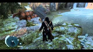 Assassins creed 3 weird bug