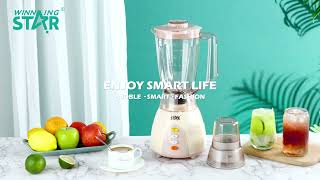 2 in 1 Electric Multi-Functional Juicer Blender