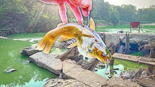 Fishing w/ LIVE BULLHEAD Below A DESTROYED DAM!!! (Please Don't Come Off)