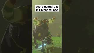 Just a normal day in Hateno Village part 1 the poor cuckoo at the end tho😂