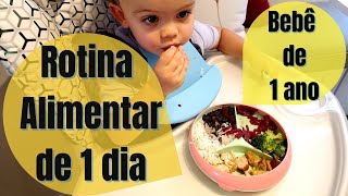 UM DIA DE ALIMENTAÇÃO DO MEU BEBÊ DE 1 ANO