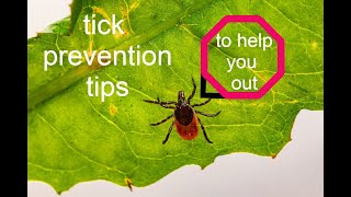 Tick Prevention Tips