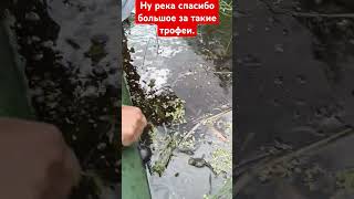 Щука на жерлицы просто пушка .#fishing #рыбалка #щуканаживца#жерлицынареке#река#лодка#щуканажерлицы