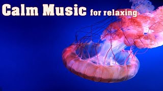 Relaxing music for comfort sleep | Calm music for stress and anxiety relief | Yoga and Meditation