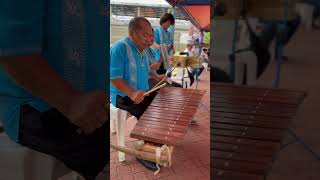 #shorts El piano indígena de los nicaragüenses alegra fiestas tradicionales en Nicaragua