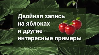 Двойная запись - основа бухгалтерского учета: как это работает.🍎🍎 Интересные примеры