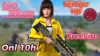 Team Code Leo Thách Đấuuuu | Viet Tiger VQC