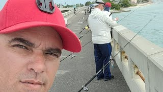 Fishing Long Key Bridge Live