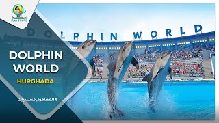 دولفين وورلد الغردقة | Dolphin World Hurghada