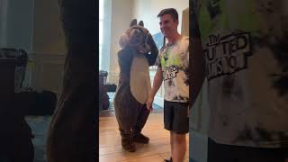 Walt Disney World Chip and Dale Visit at Caribbean Beach Resort #shorts #youtubehighfive