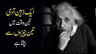 Sign of Intelligent Person urdu hindi | Inspirational Motivational Quotes of Einstein